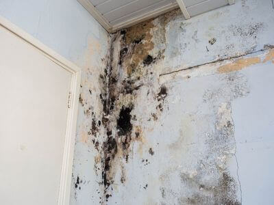 About Mesa Water Damage Cleanup Pros - water damage cleanup experts in Mesa